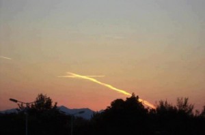 A Cruz apareceu logo na Missa da noite na festa da Assunção. Foto: facebook